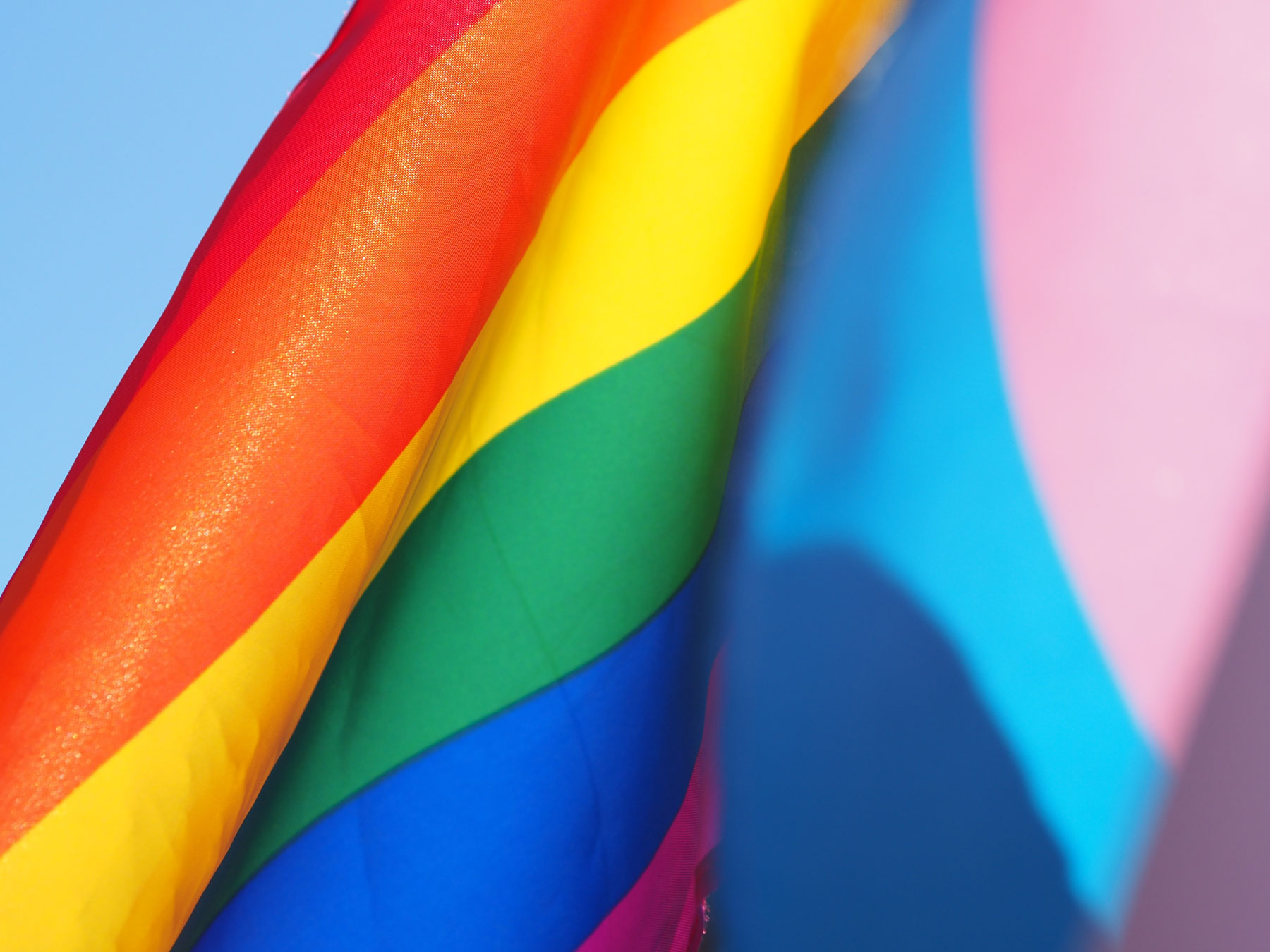 Regenboogvlag en transgendervlag