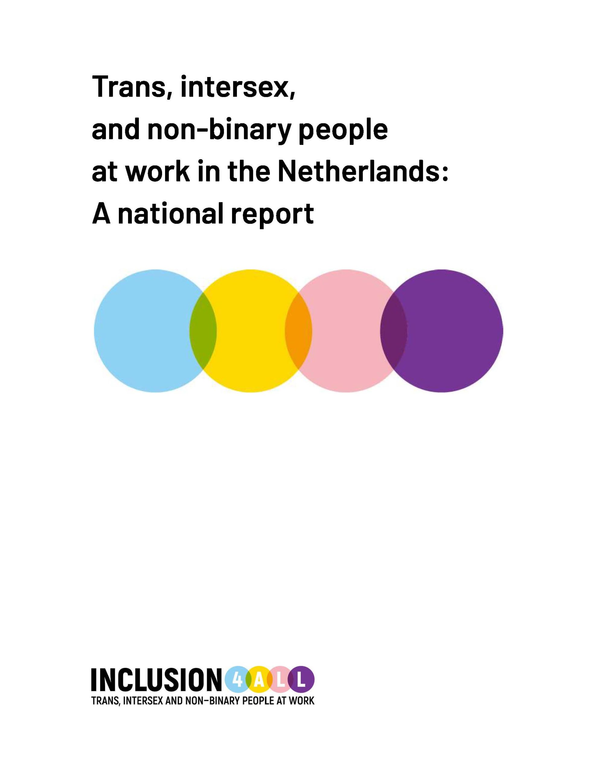 afbeelding rapport trans/intersekse/non-binair op werk