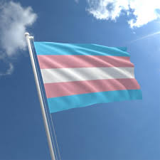 Transgender vlag met blauwe, witte en roze strepen, tegen een blauwe lucht.