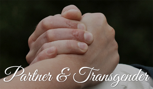 Foto van twee ineengeslagen handen en de tekst "Partner & Transgender"