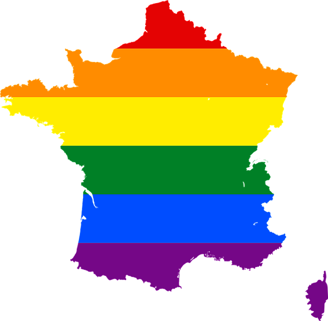 de vorm van Frankrijk ingekleurd met de regenboogkleuren