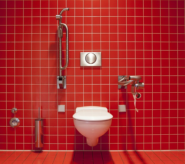 Foto vaneen toiletpot met rood betegelde vloer en muur.