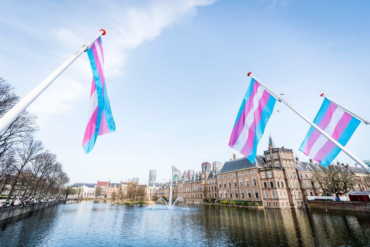 Foto met transgendervlaggen op de voorgrond en op de achtergrond de Hofvijver in Den Haag.