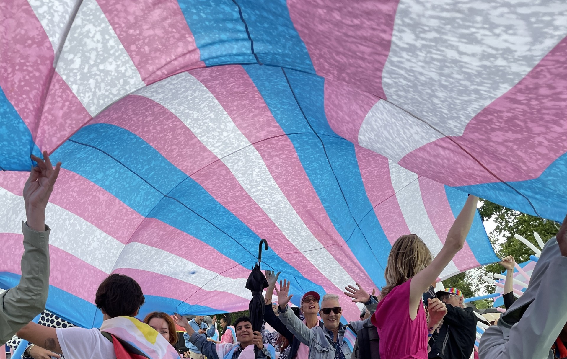 trans pride walk